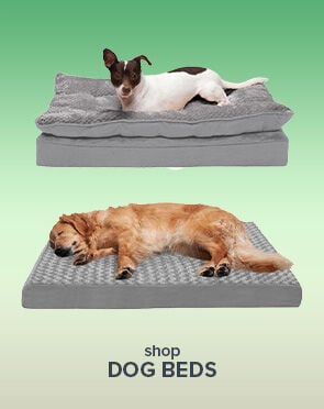 Dog Beds & Furniture